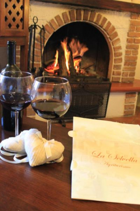 Гостиница Agriturismo Selvella  Радикофани
